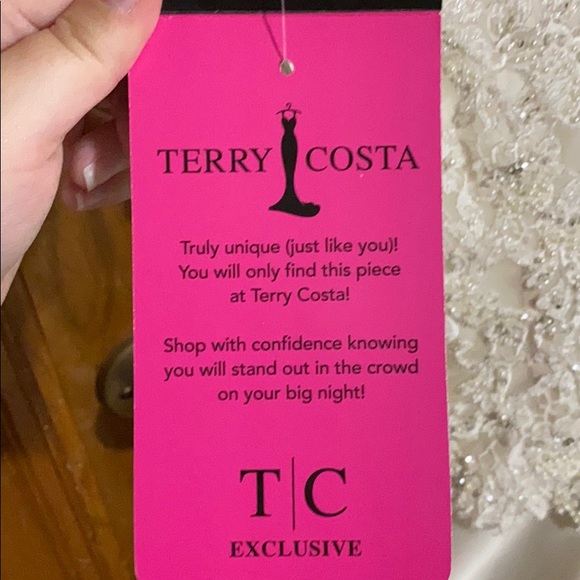 Terry Costa One of a Kind Wedding Dress - Picture 7 of 8